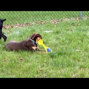 Meet your Posher, Brittney